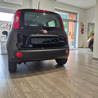 FIAT Pandina usata, con ESP