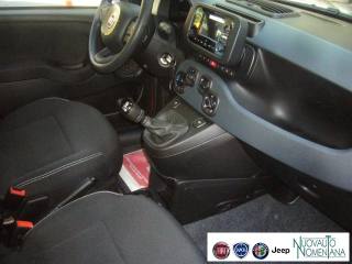FIAT Panda usata 23