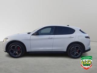 ALFA ROMEO Stelvio usata, con Airbag laterali