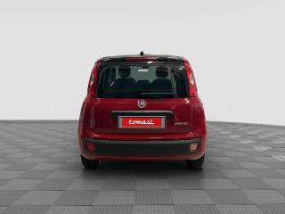 FIAT Panda usata 4