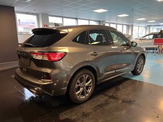 FORD Kuga usata, con Airbag Passeggero