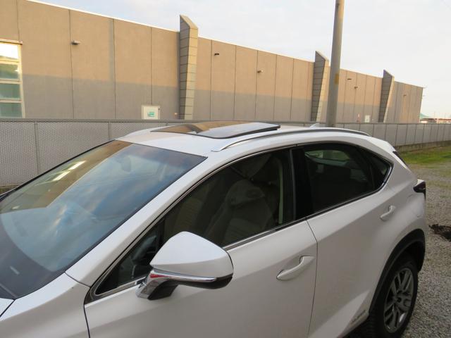 LEXUS NX 300 usata, con Chiusura centralizzata