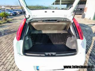 FIAT Punto usata, con Servosterzo