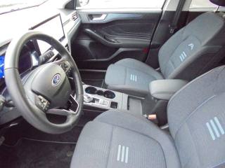 FORD Focus usata 30
