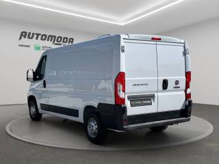 FIAT Ducato usata, con Servosterzo