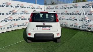FIAT Panda usata, con Fendinebbia