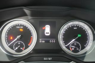 SKODA Superb usata 12