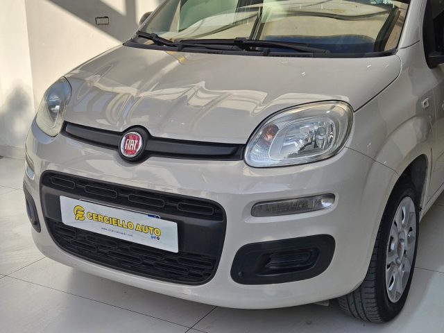 FIAT Panda usata, con Airbag Passeggero