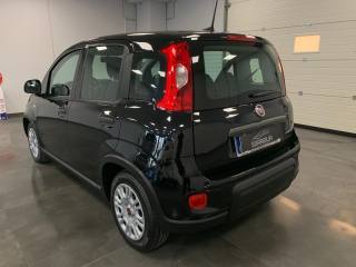 FIAT Panda usata, con Alzacristalli elettrici