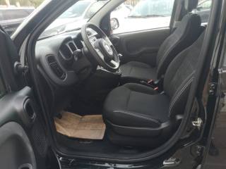 FIAT Panda usata, con Controllo trazione