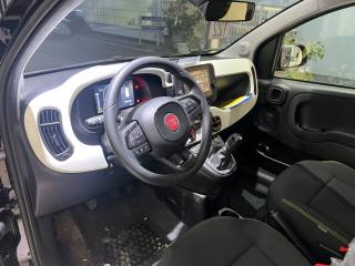 FIAT Pandina usata, con Controllo trazione
