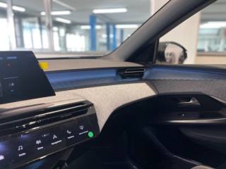 PEUGEOT 3008 usata, con Airbag testa