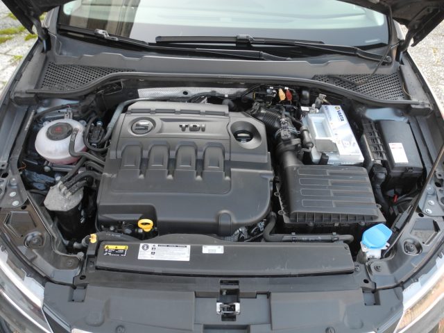 SEAT Leon usata, con Park Distance Control