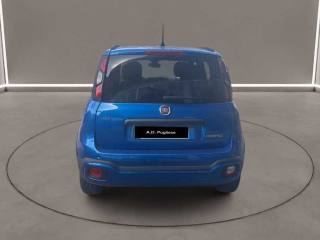 FIAT Panda Cross usata, con Airbag Passeggero