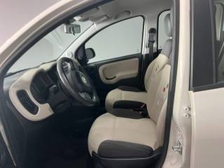 FIAT Panda usata, con Antifurto