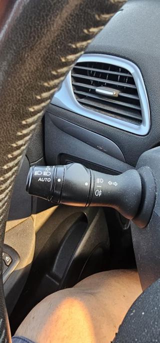 RENAULT Scenic usata, con ESP