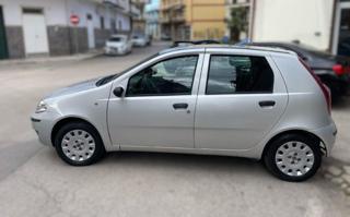 FIAT Punto usata, con Servosterzo