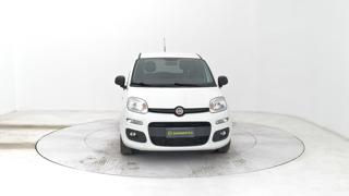 FIAT Panda usata 7