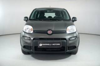 FIAT Panda usata, con Airbag laterali