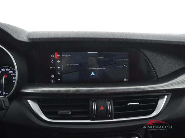 ALFA ROMEO Stelvio usata 14