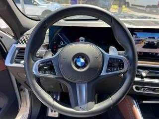 BMW X6 usata, con Fendinebbia