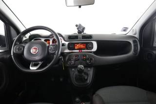 FIAT Panda usata 4