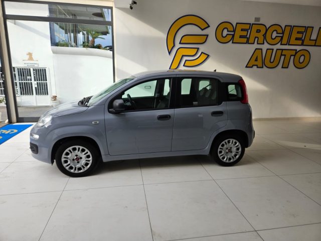 FIAT Panda usata, con Alzacristalli elettrici