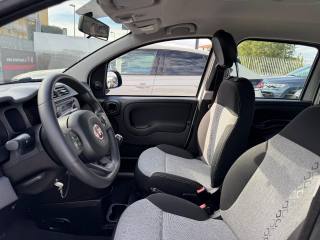 FIAT Panda usata, con Climatizzatore
