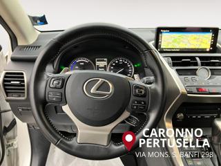 LEXUS NX 300 usata, con Cruise Control