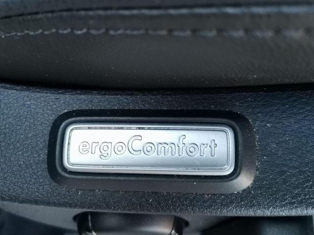 VOLKSWAGEN Passat Variant usata, con Cruise Control