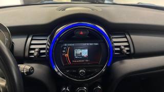 MINI One usata, con Cronologia tagliandi