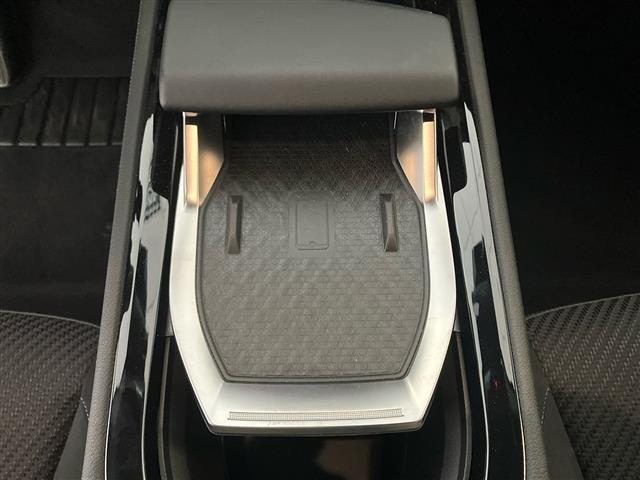 RENAULT Austral usata 26