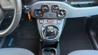 FIAT Panda usata, con Cronologia tagliandi