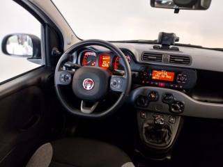 FIAT Panda usata, con Volante multifunzione