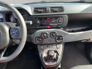 FIAT Panda usata 11