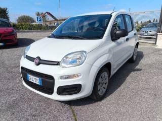 FIAT Panda usata 2