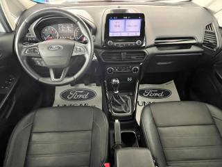 FORD EcoSport usata, con Vetri oscurati