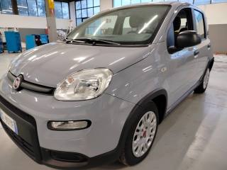 FIAT Panda usata, con Airbag testa