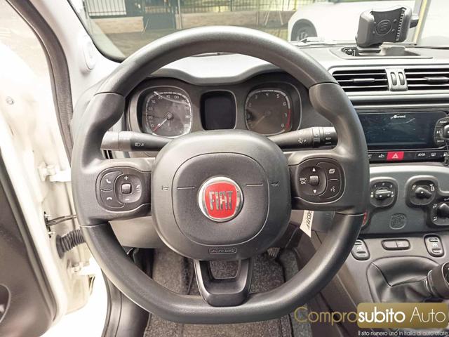 FIAT Panda usata 19