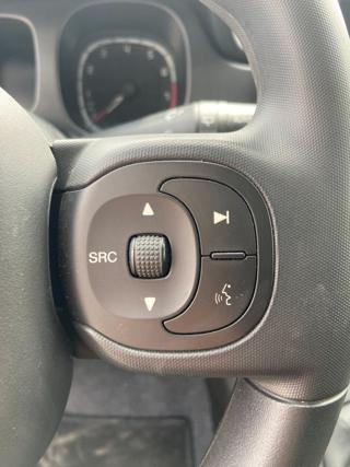FIAT Panda Cross usata, con ESP