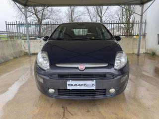 FIAT Punto usata, con Airbag