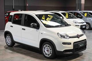 FIAT Panda usata, con Airbag Passeggero