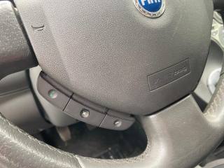 FIAT Panda usata, con Fendinebbia