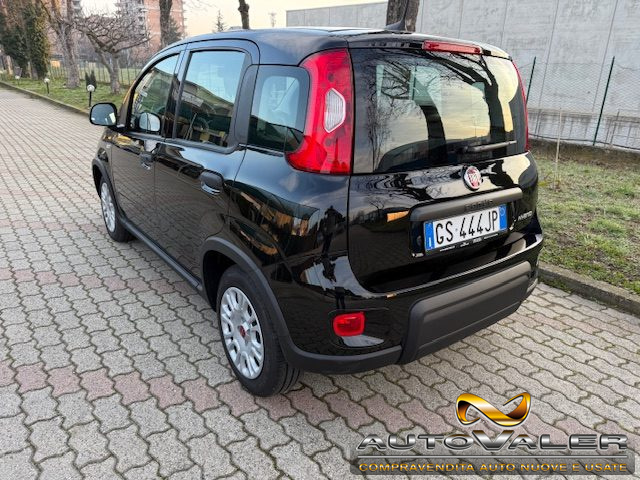 FIAT Panda usata, con Airbag Passeggero
