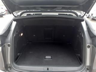 PEUGEOT 3008 usata, con Cruise Control