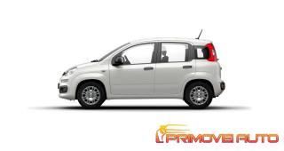 FIAT Panda usata, con Controllo trazione