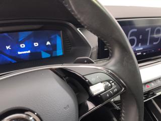 SKODA Octavia usata, con Fendinebbia