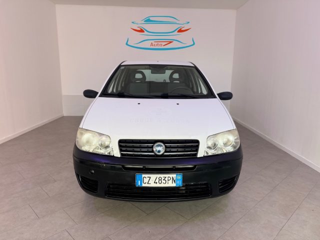 FIAT Punto usata 0