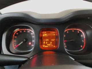 FIAT Panda usata 13