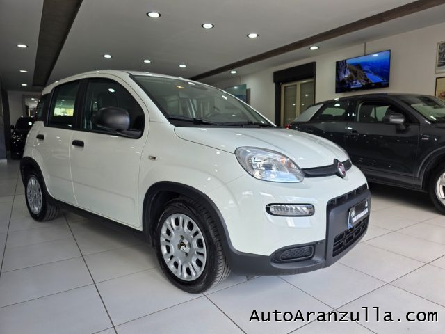 FIAT Panda usata, con Airbag Passeggero